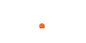 Sempervivumworld