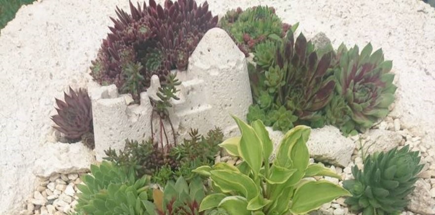 Hypertufa Schalen selber machen: