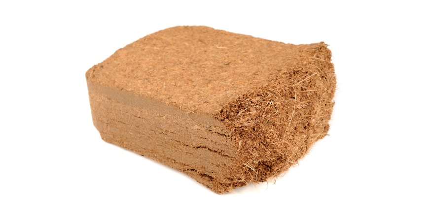 Kokoserde für Sempervivum & Sukkulenten